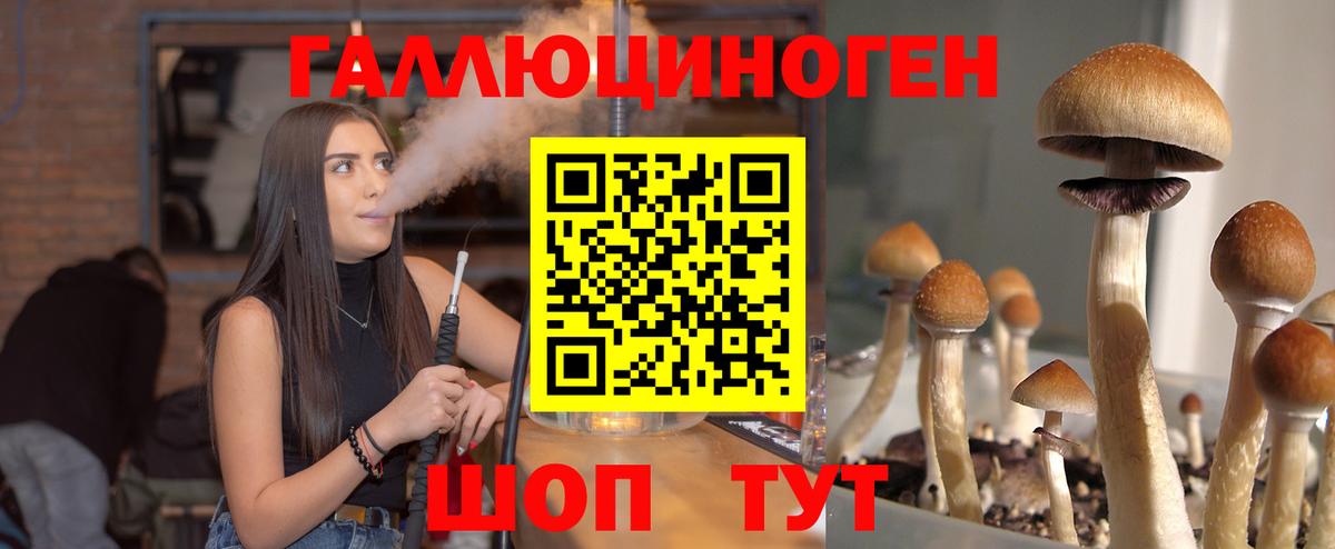 Псилоцибиновые грибы ЛСД Тверь